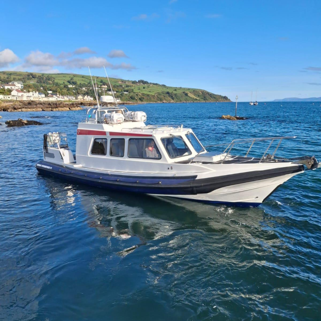 Image of Redbay Stormforce 11 - 2011
